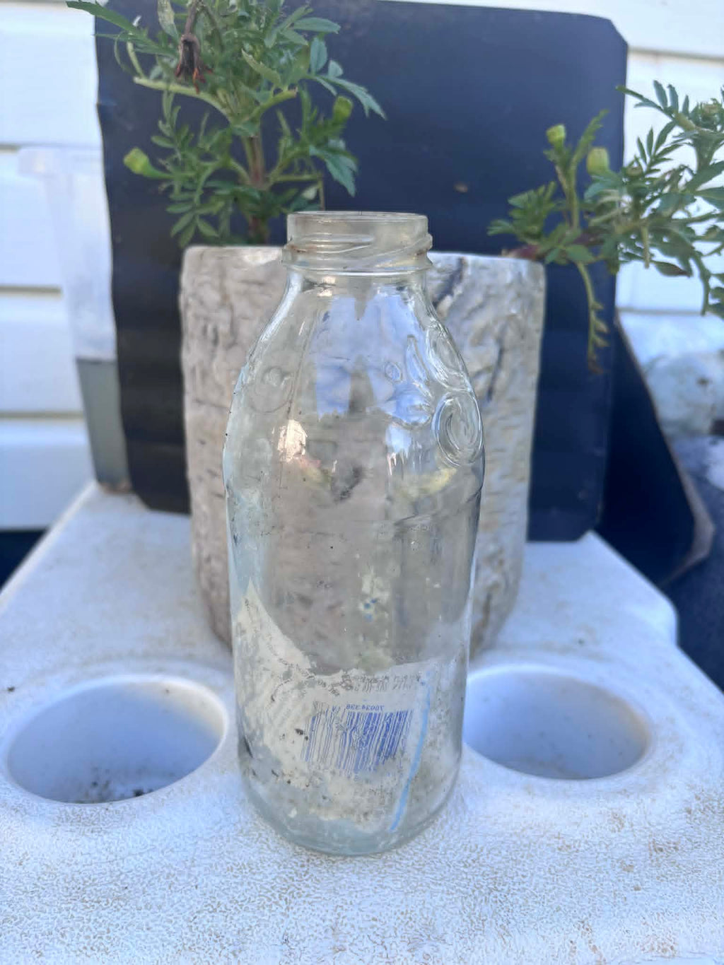 Homestead Finds