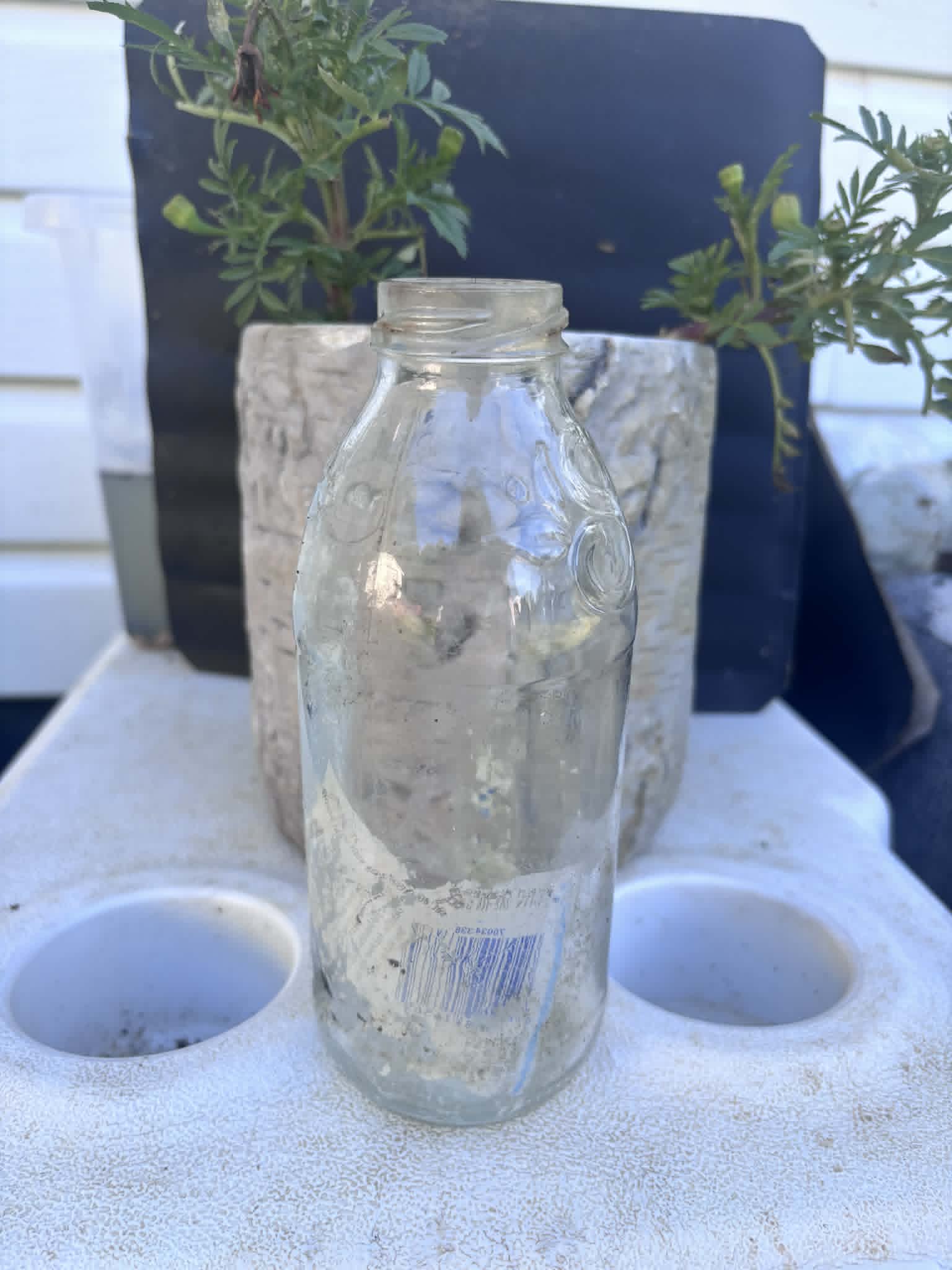 Homestead Finds