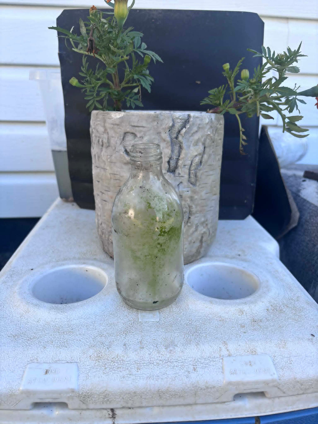 Homestead Finds