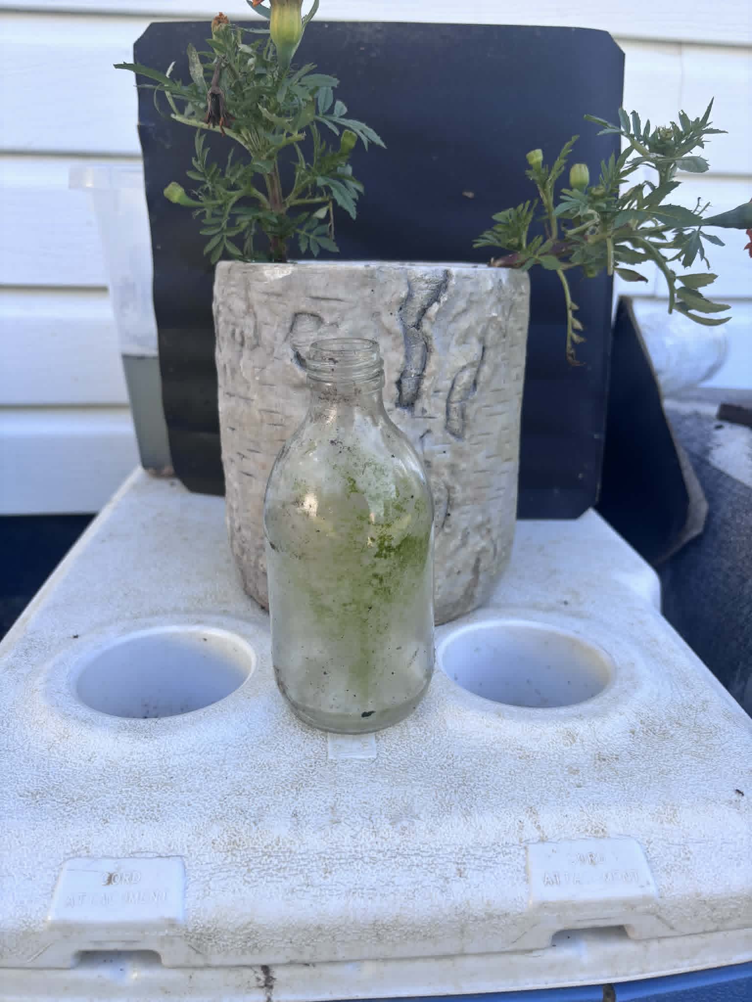 Homestead Finds
