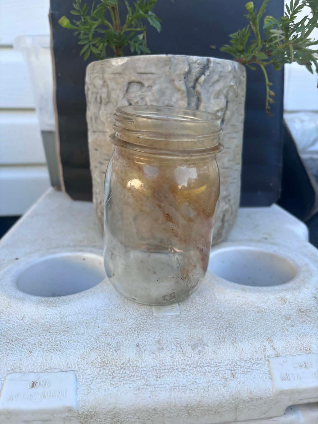Homestead Finds