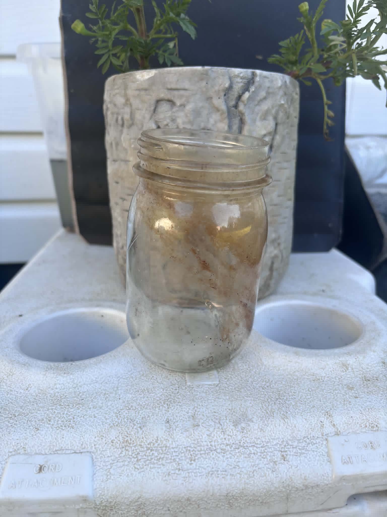 Homestead Finds