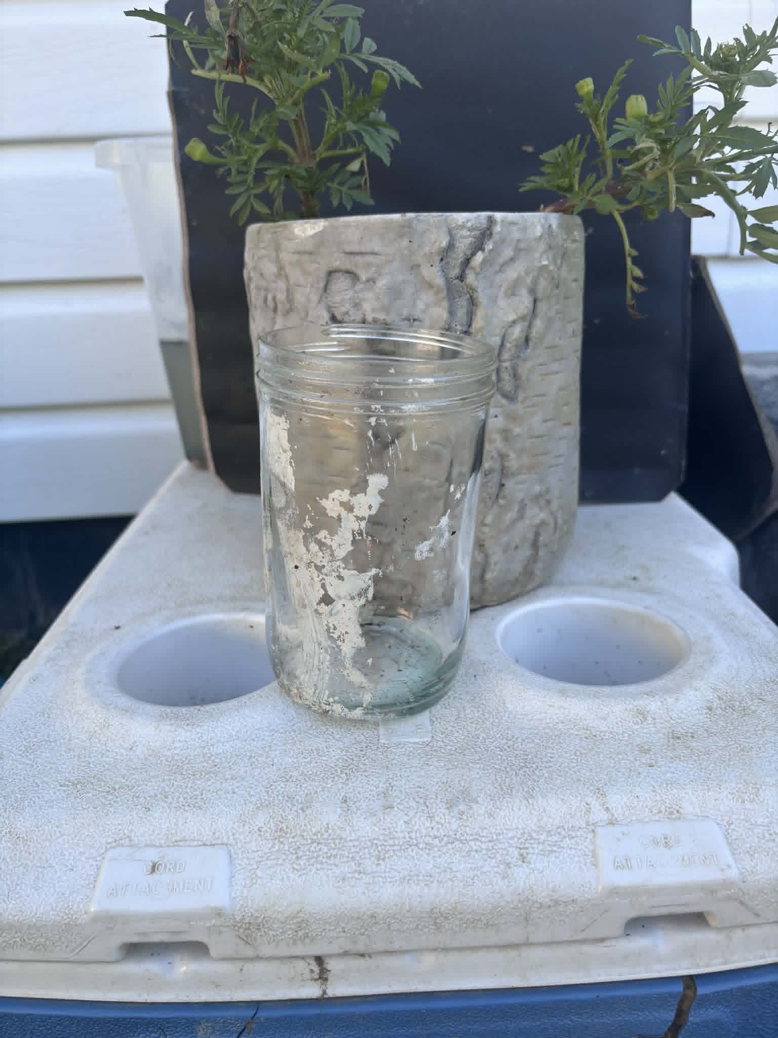 Homestead Finds