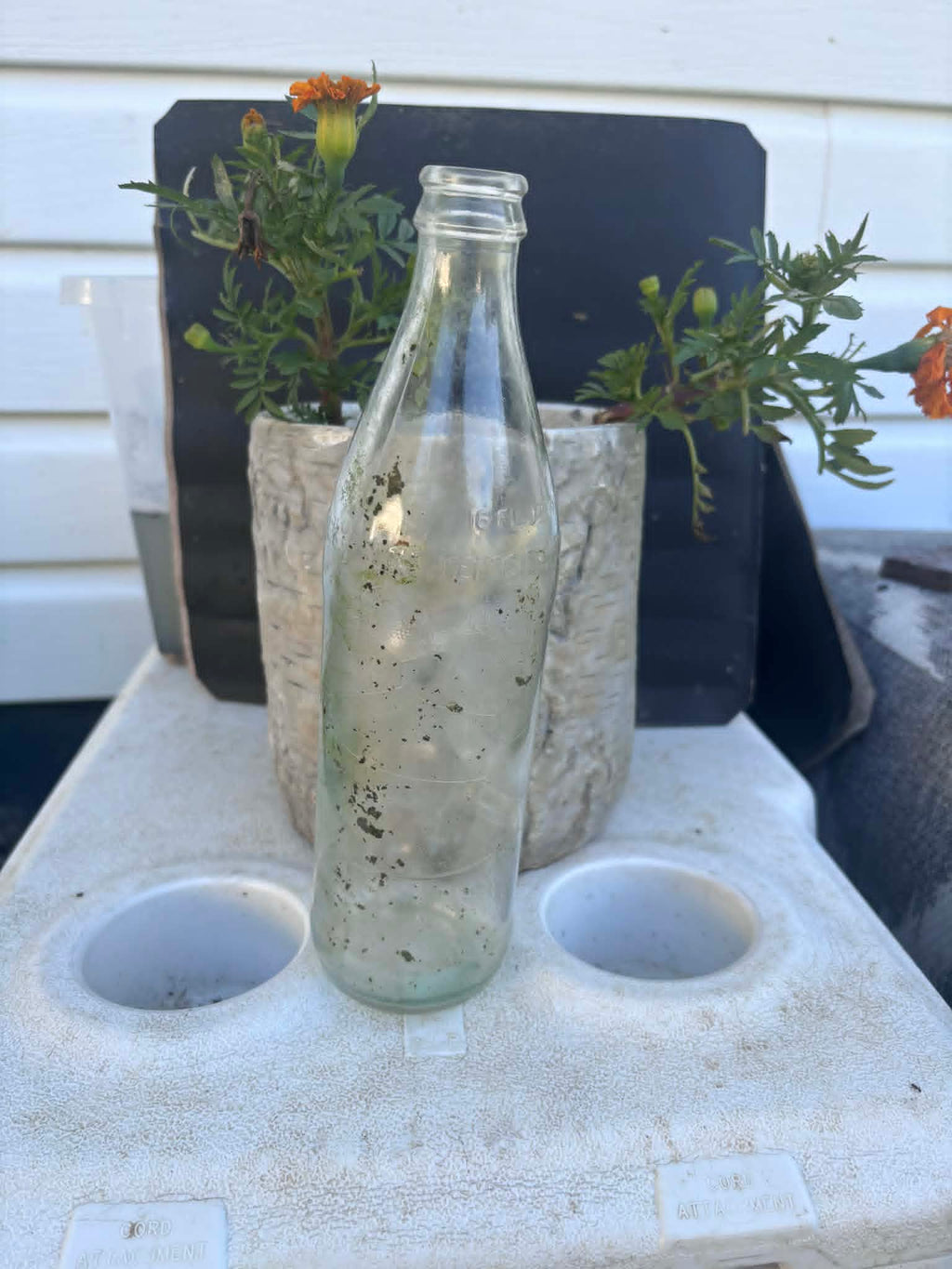 Homestead Finds