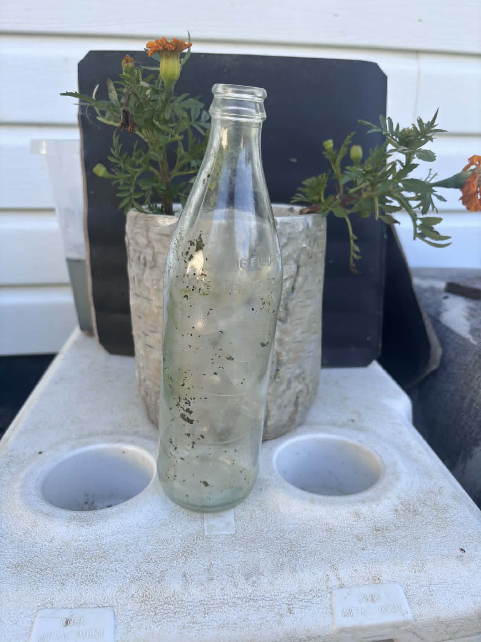 Homestead Finds