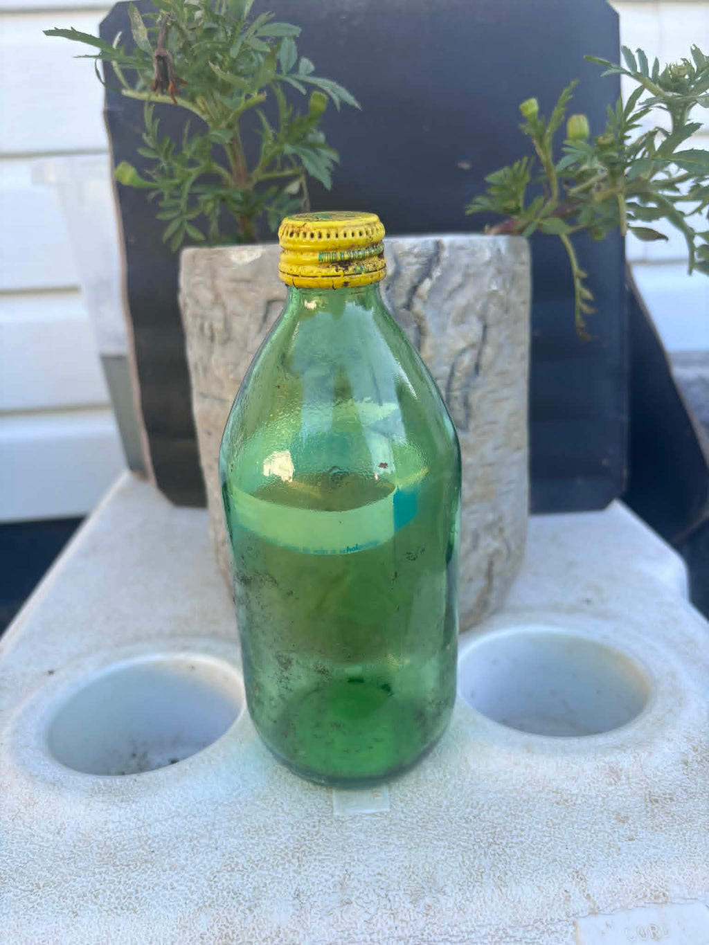 Homestead Finds