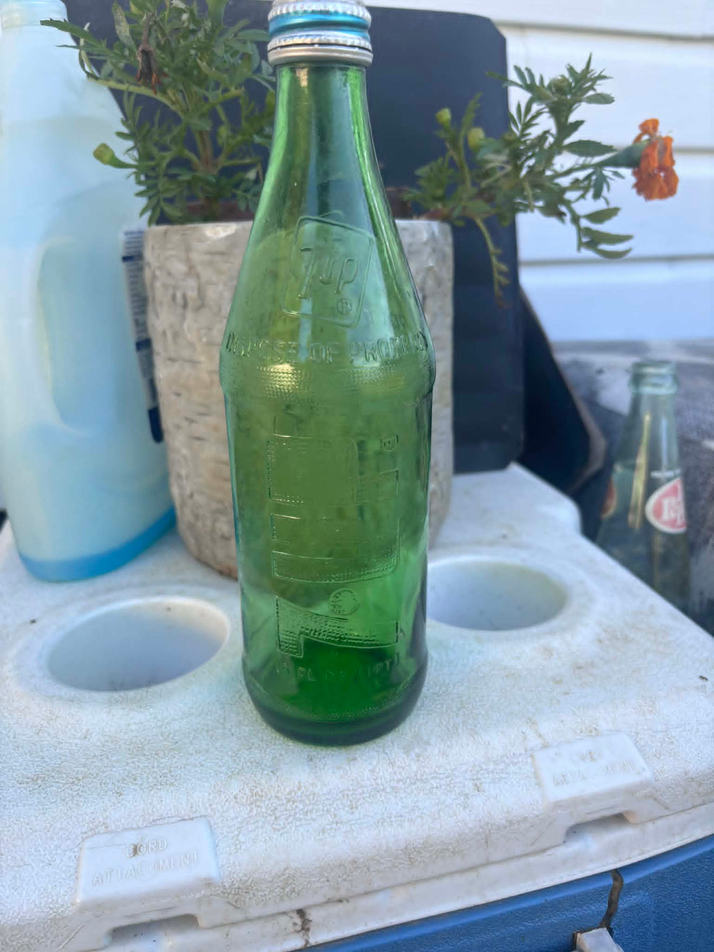 Homestead Finds
