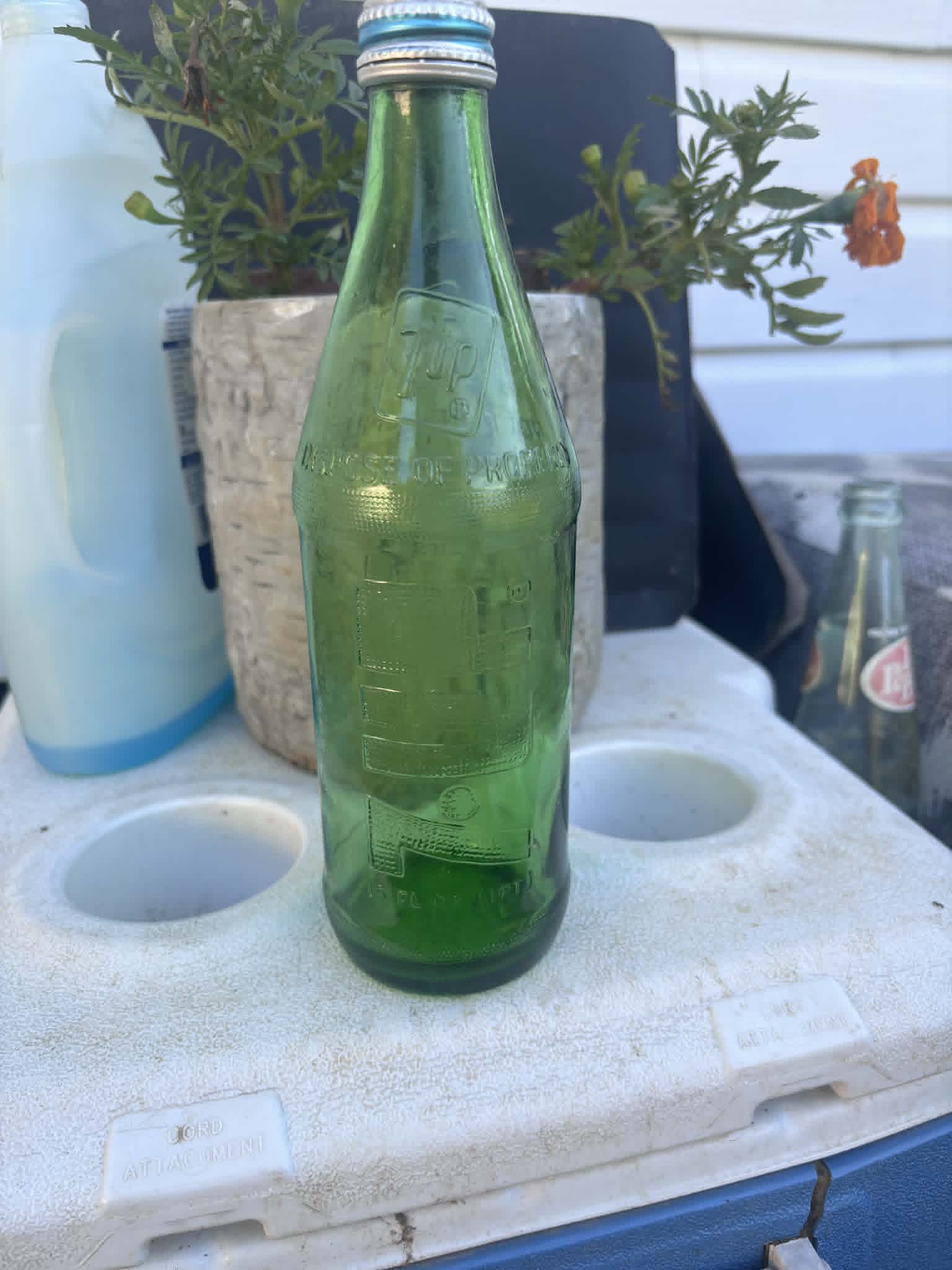 Homestead Finds